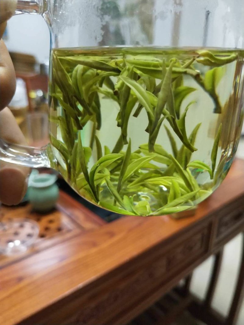 安吉白茶