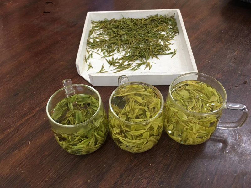 安吉白茶