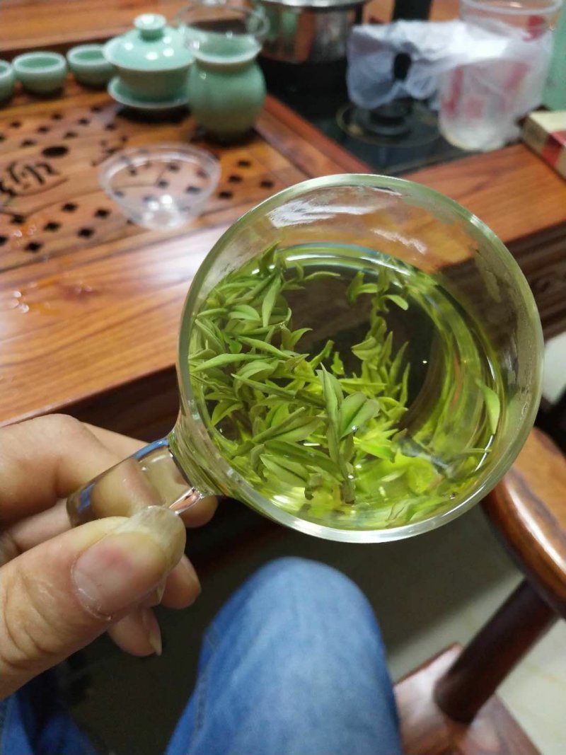 安吉白茶