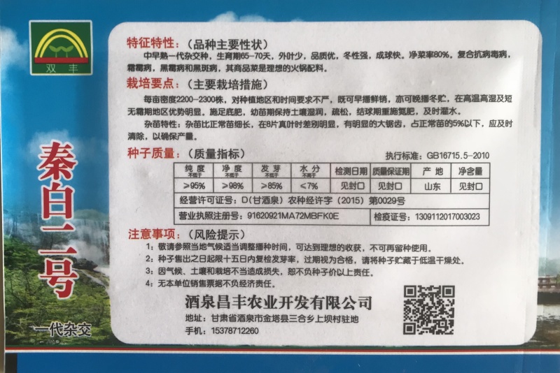 大白菜秦白二号白菜种子