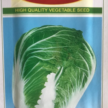 改良青杂三号大白菜种子