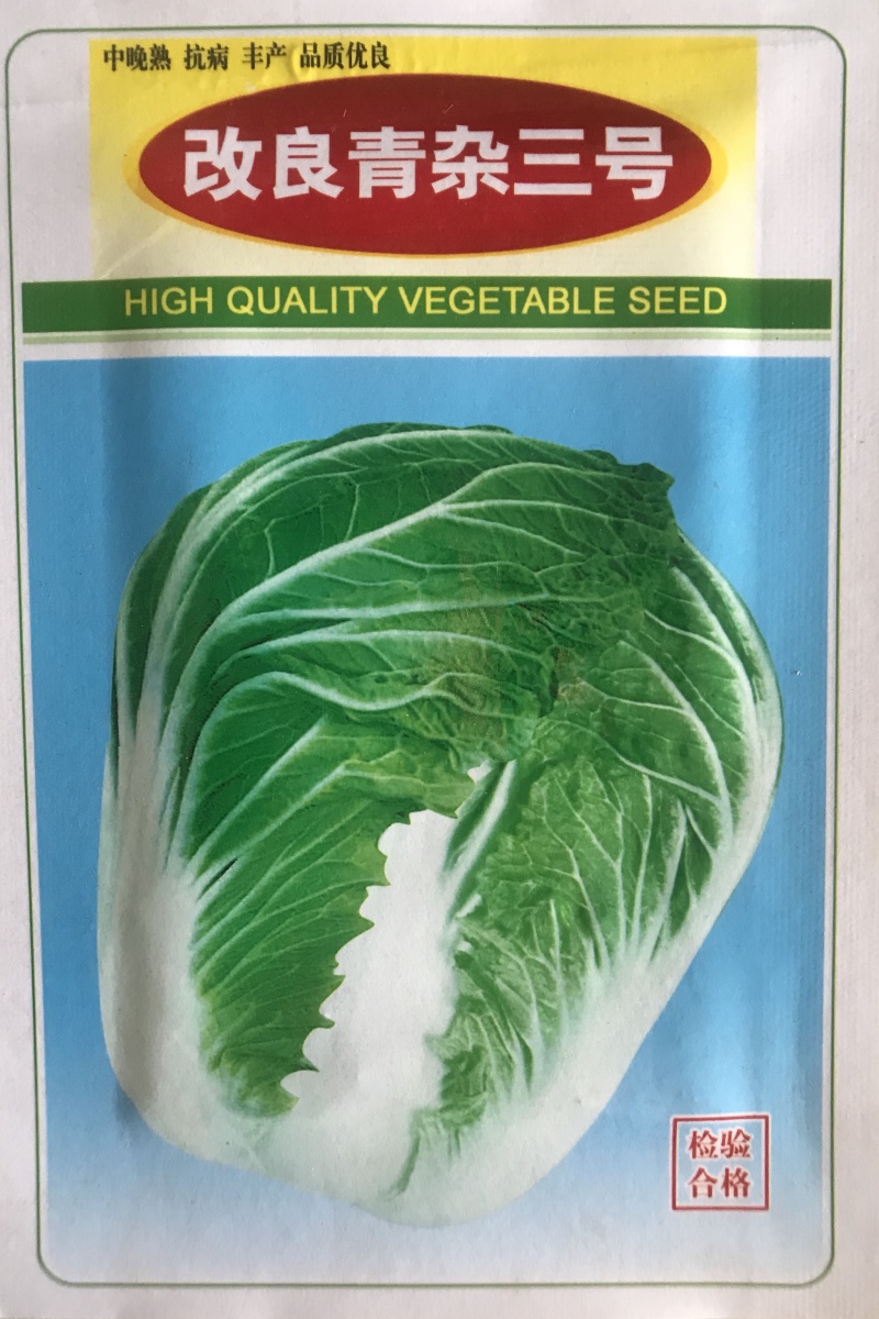 改良青杂三号大白菜种子