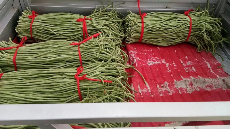 长豆角以大量市如有需要的请于我联系