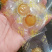 人参蜜片,鲜参蜜片,厂家直销