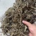 车前草大货，批发1000多种草药，冷背药材