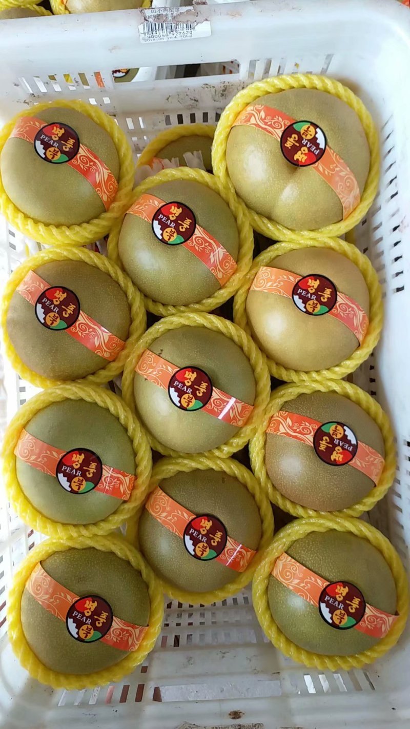 精品韩国华山梨