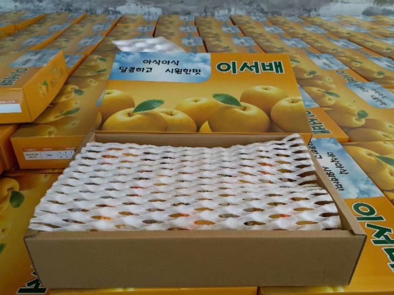 精品韩国华山梨
