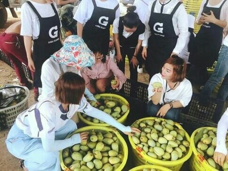热带水果