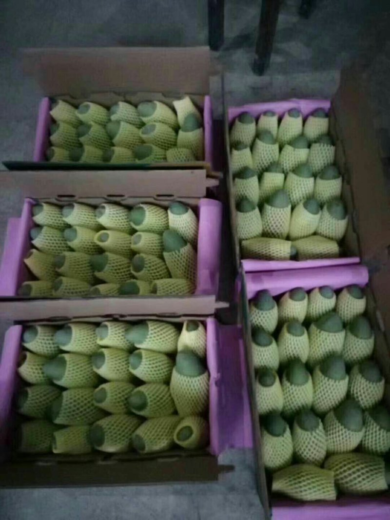 热带水果