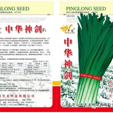 中华神剑韭菜种牛商推荐量大从优