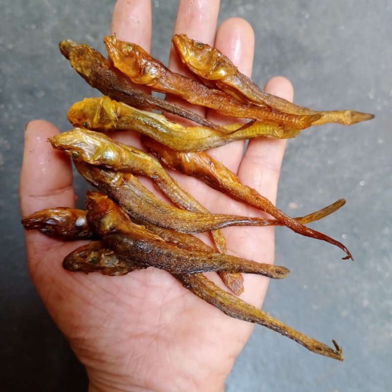 黄鱼，小黄鱼，烟熏烤干鱼干（无胆全是肉）(一手货源)不碎