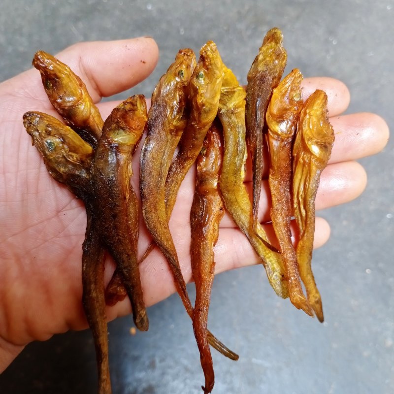 黄鱼，小黄鱼，烟熏烤干鱼干（无胆全是肉）(一手货源)不碎