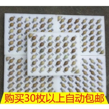 户丁鸡种蛋