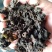大量批发优质地皮菜批发