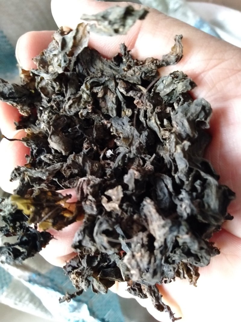 大量批发优质地皮菜批发