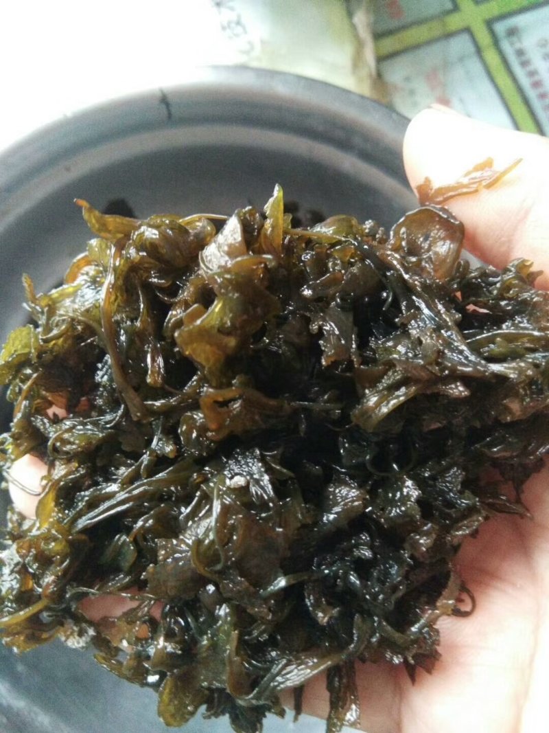 大量批发优质地皮菜批发