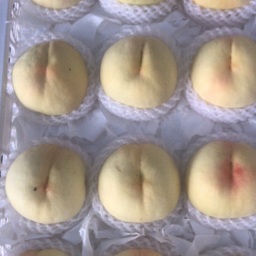 水蜜桃
