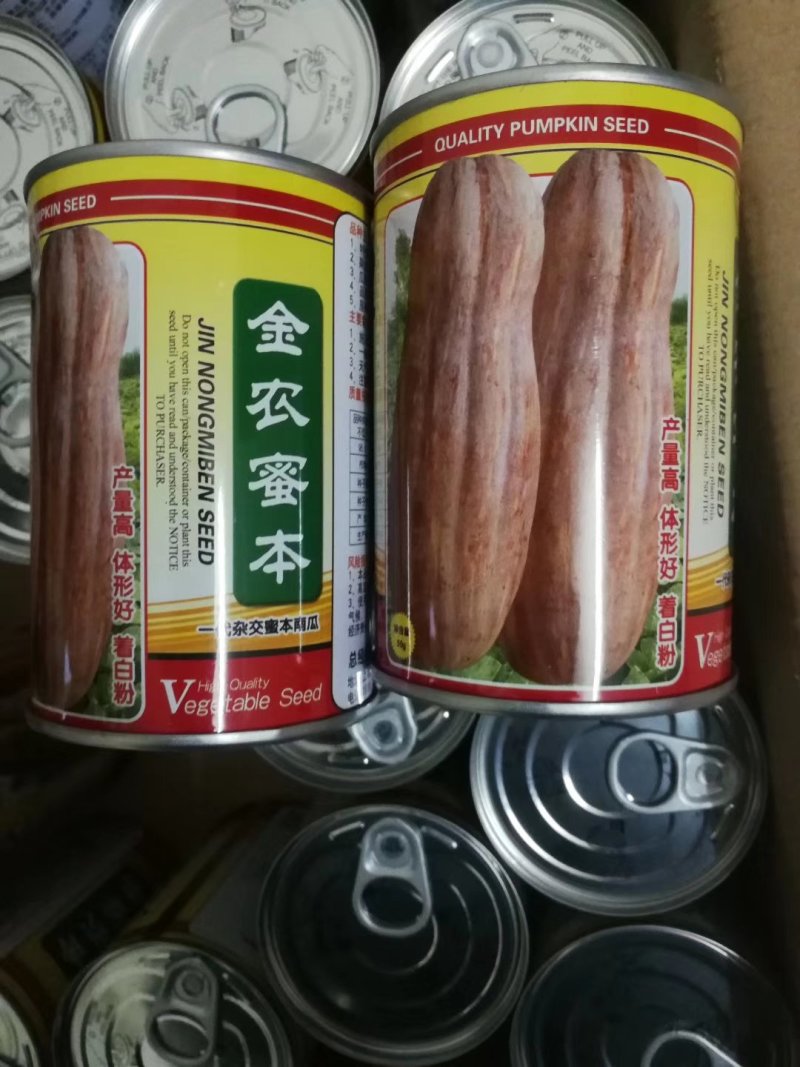 蜜本南瓜