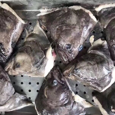 格陵兰鳙鲽鱼头（各规格）