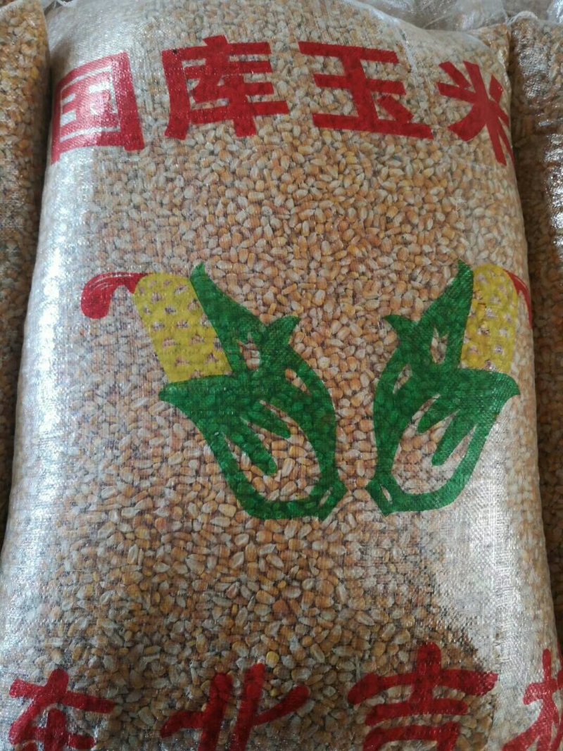 玉米