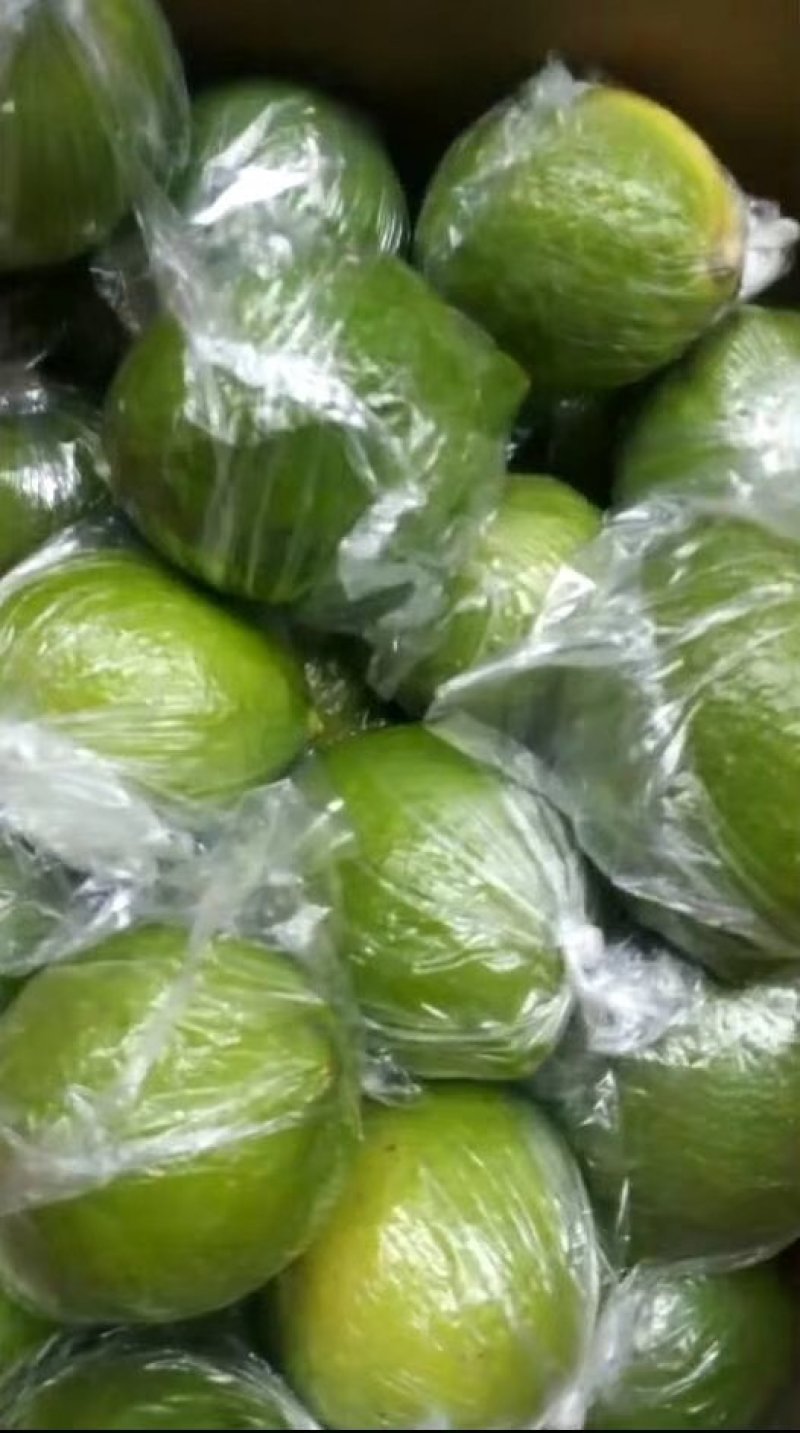 尤力克柠檬