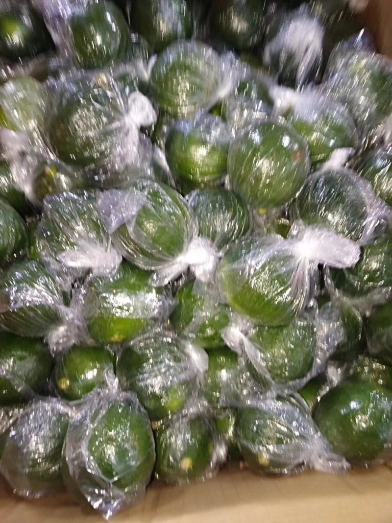 尤力克柠檬