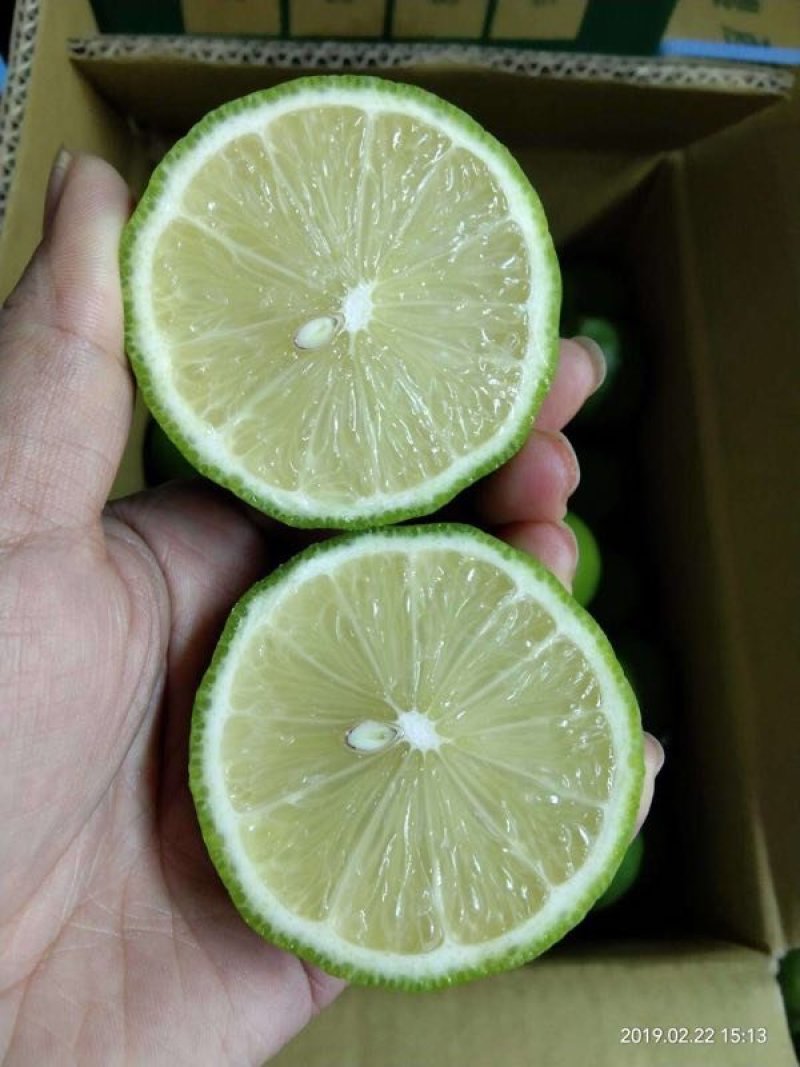 尤力克柠檬
