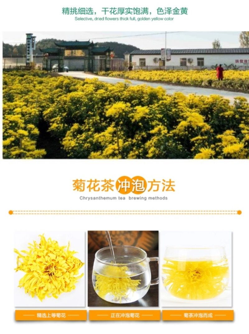 大自然金丝皇菊罐装菊茶50朵