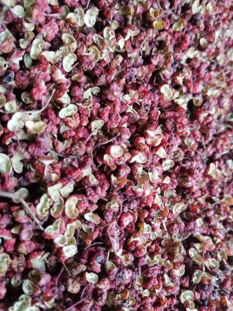 凤椒（凤县大红袍花椒）
