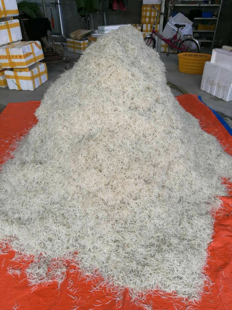 银鱼干，淡水银鱼干2-4规格