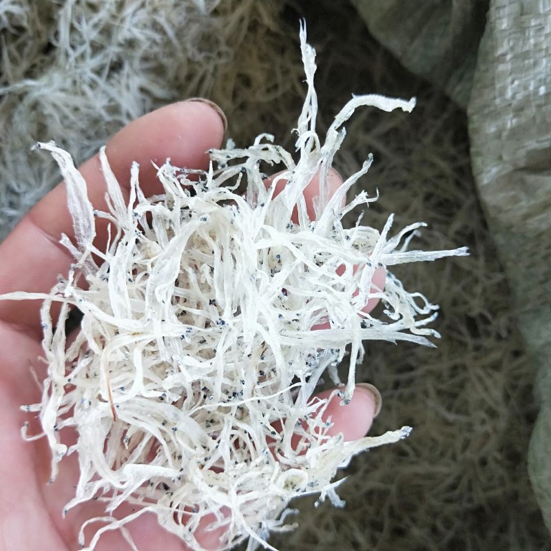 银鱼干，淡水银鱼干2-4规格