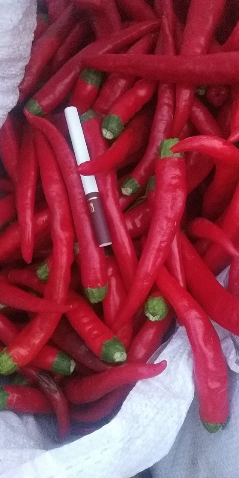 鲜辣椒