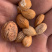 山桃核质量保证，欢迎采购，价格优惠，视频看货