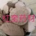 防己粉防己旱防己货好量大要多优惠不满意可以退换货