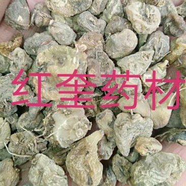 毛慈菇冰球子货好量大不满意保退换数量有限