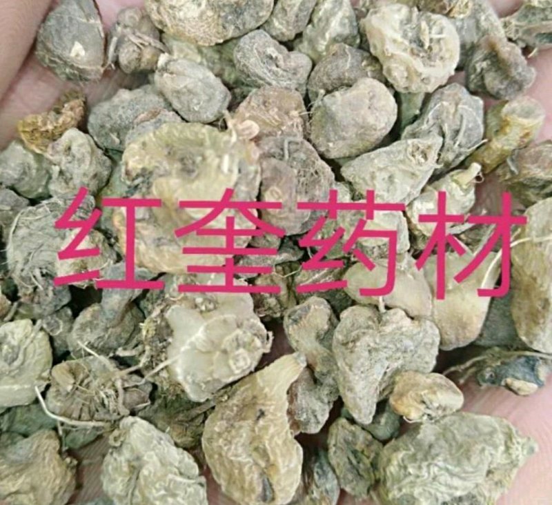 毛慈菇冰球子货好量大不满意保退换数量有限