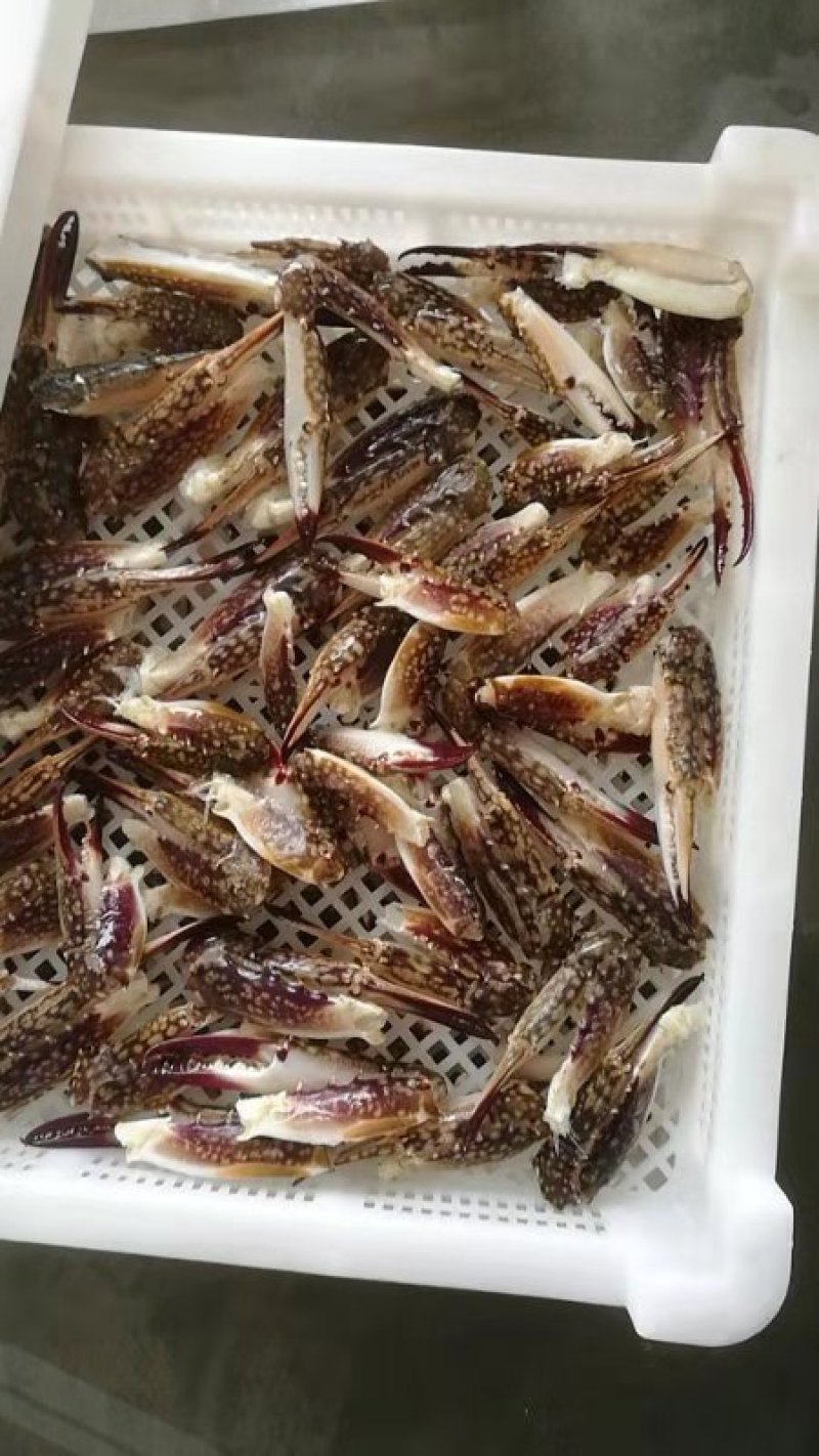 新鲜蟹钳