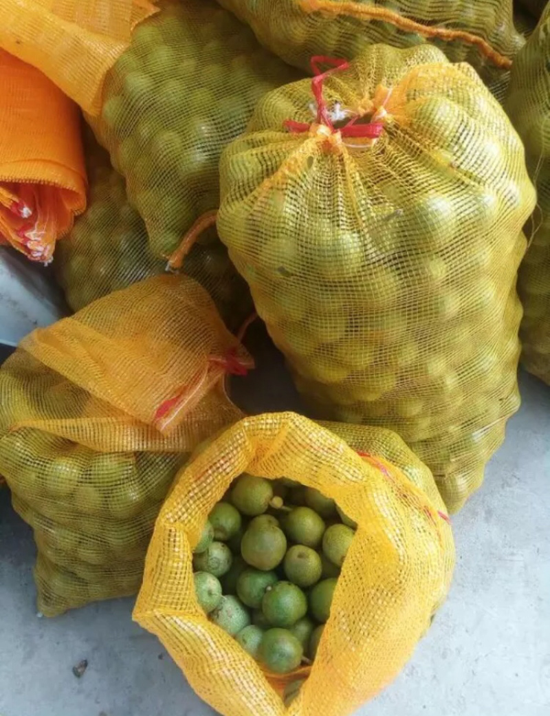 青皮核桃