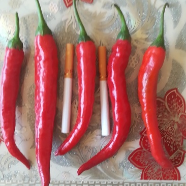 鲜辣椒