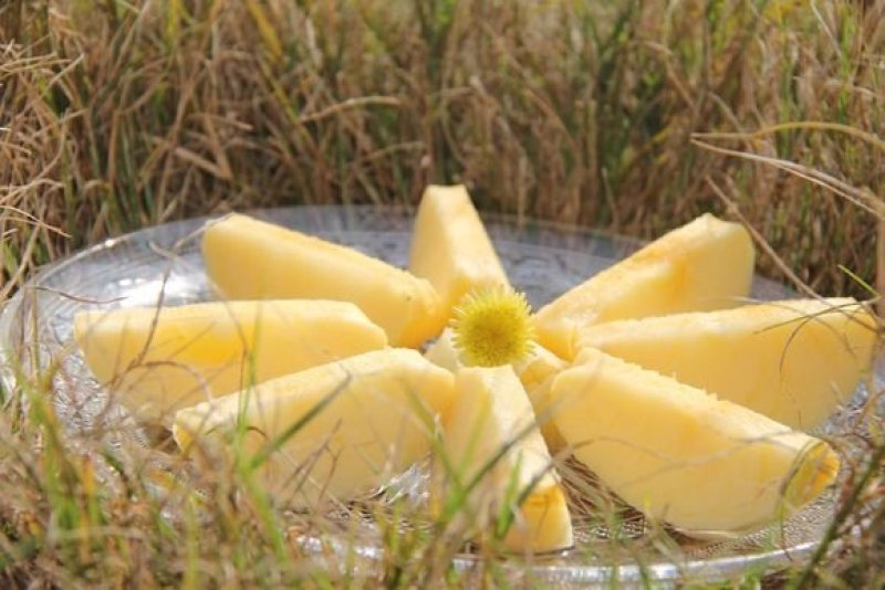 爱马仕苹果，糖苹果，中秋黄金苹果，国庆黄金苹果，糖度20