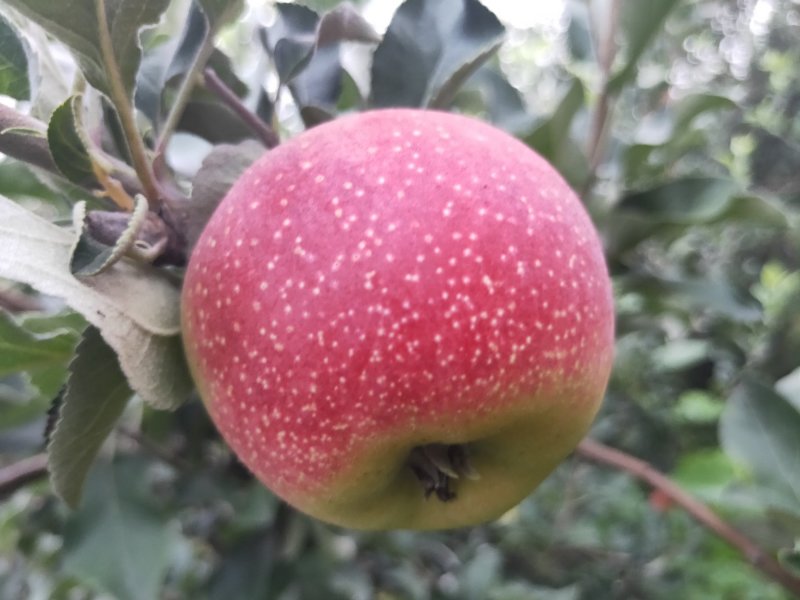 量大优惠