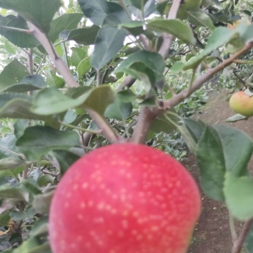 量大优惠