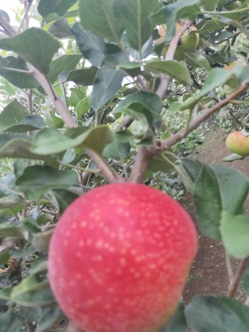 量大优惠