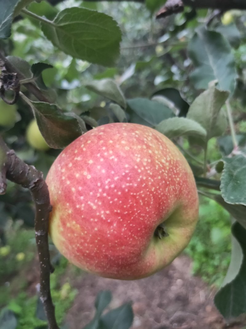 量大优惠