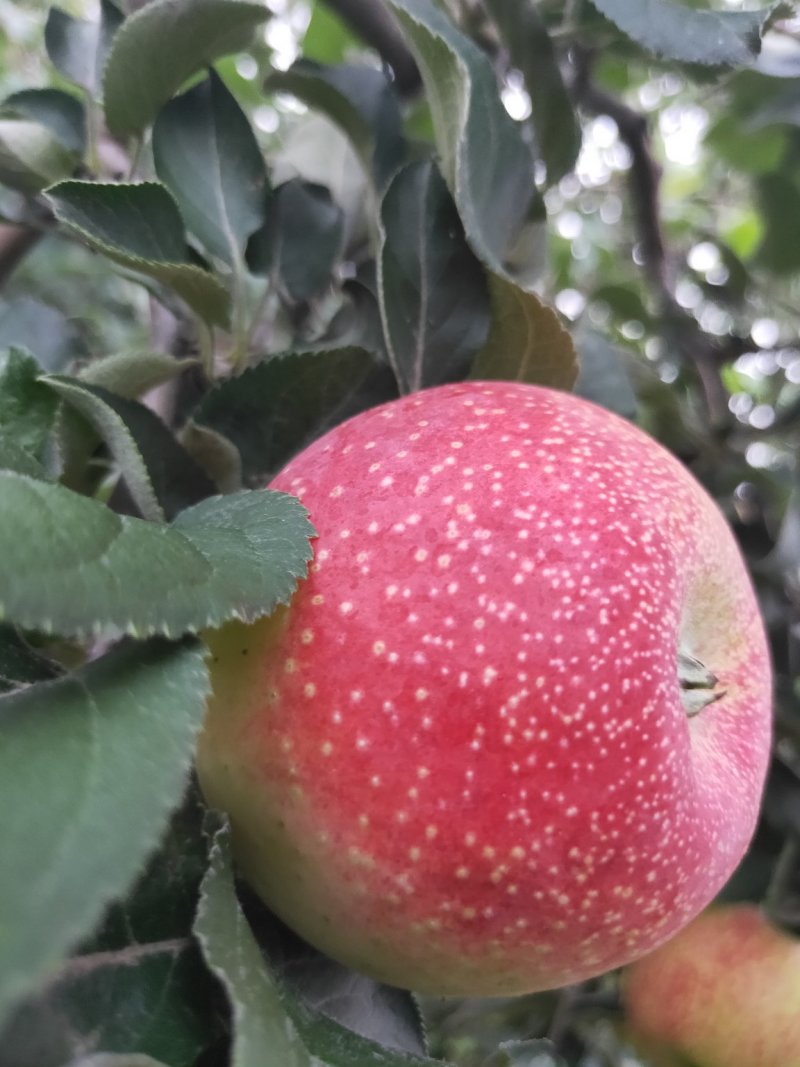 量大优惠
