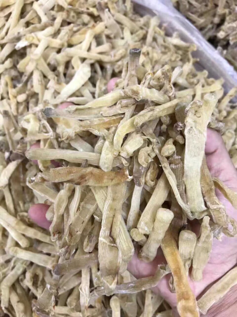 北海沙虫干足干1斤起批
