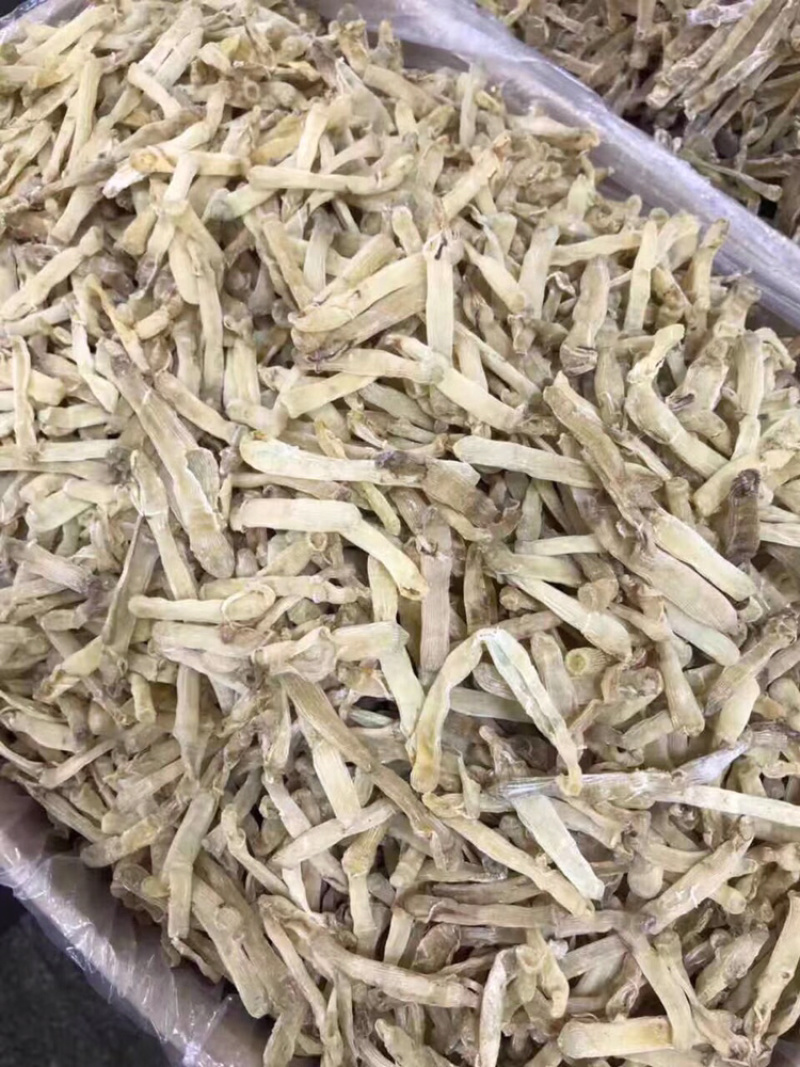 北海沙虫干足干1斤起批