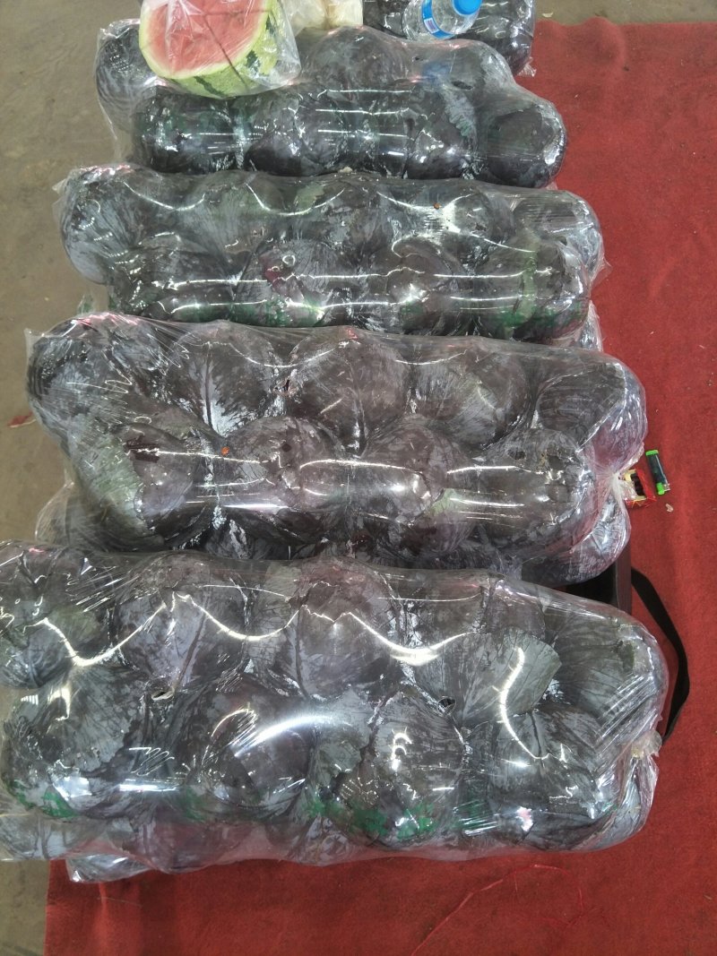 长年专卖紫甘蓝，云南，兰州，福建，山东，张北，等，全国紫
