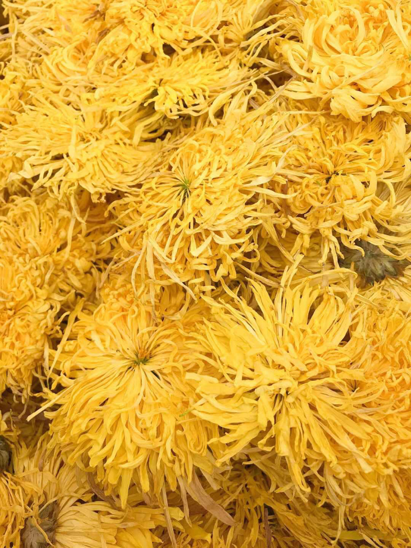 精选金丝皇菊礼盒装，包邮