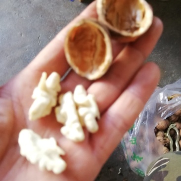 陕西香玲嫩核桃